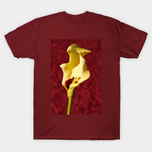 Portrait of a single flower T-Shirt